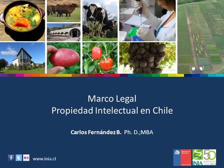 Marco Legal Propiedad Intelectual en Chile Carlos Fernández B. Ph. D