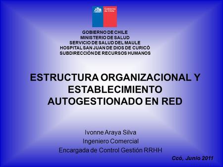 ESTRUCTURA ORGANIZACIONAL Y ESTABLECIMIENTO AUTOGESTIONADO EN RED