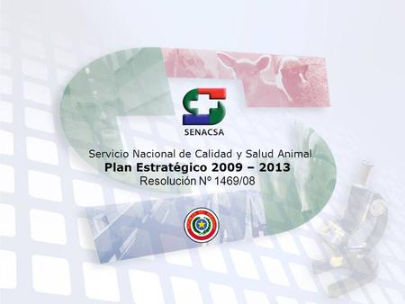 Plan Estratégico 2009 – 2013 Resolución Nº 1469/08 Servicio Nacional de Calidad y Salud Animal.