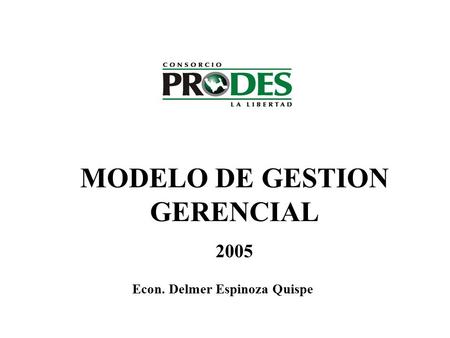 MODELO DE GESTION GERENCIAL 2005 Econ. Delmer Espinoza Quispe.