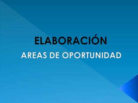 ELABORACIÓN AREAS DE OPORTUNIDAD.