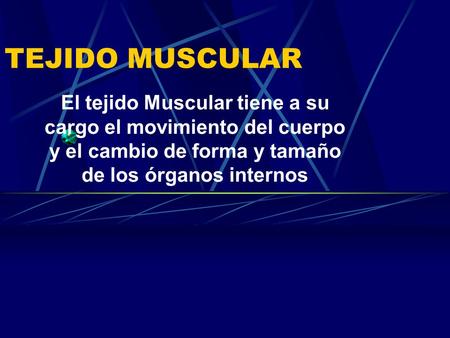 TEJIDO MUSCULAR El tejido Muscular tiene a su cargo el movimiento del cuerpo y el cambio de forma y tamaño de los órganos internos.
