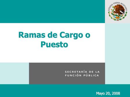 Ramas de Cargo o Puesto Mayo 20, 2008. Antecedente La sistematización de puestos que por sus características y particularidades guardan afinidad, por.