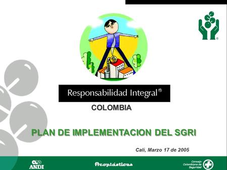 COLOMBIA Cali, Marzo 17 de 2005 PLAN DE IMPLEMENTACION DEL SGRI.