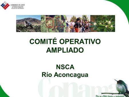1 COMITÉ OPERATIVO AMPLIADO NSCA Río Aconcagua. 2 ANTECEDENES LEGALES LEY DE BASES DEL MEDIO AMBIENTE (19.300) “Art. 77: El Director Ejecutivo, previa.