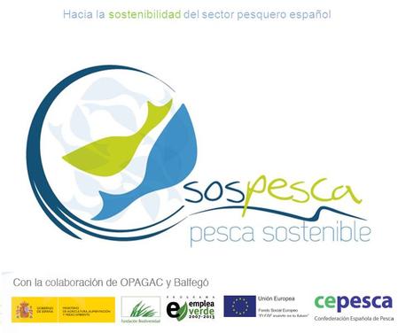 Hacia la sostenibilidad del sector pesquero español.