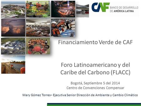 Financiamiento Verde de CAF Foro Latinoamericano y del Caribe del Carbono (FLACC) Bogotá, Septiembre 5 del 2014 Centro de Convenciones Compensar Mary Gómez.