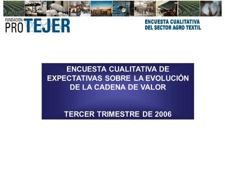 ENCUESTA CUALITATIVA DE EXPECTATIVAS SOBRE LA EVOLUCIÓN DE LA CADENA DE VALOR TERCER TRIMESTRE DE 2006.