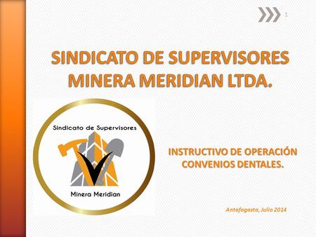 SINDICATO DE SUPERVISORES MINERA MERIDIAN LTDA.