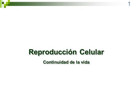 Reproducción Celular Continuidad de la vida