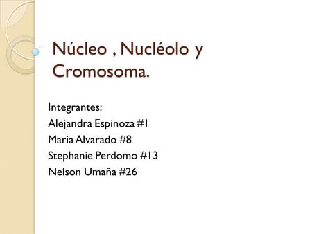 Núcleo , Nucléolo y Cromosoma.