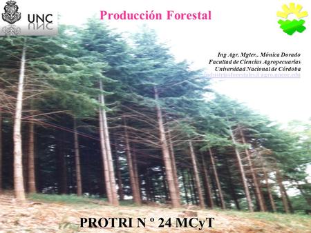 PROTRI N º 24 MCyT Producción Forestal Ing Agr. Mgter.. Mónica Dorado
