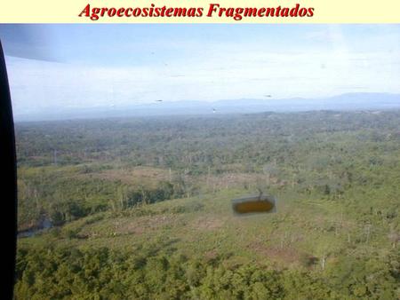 Agroecosistemas Fragmentados