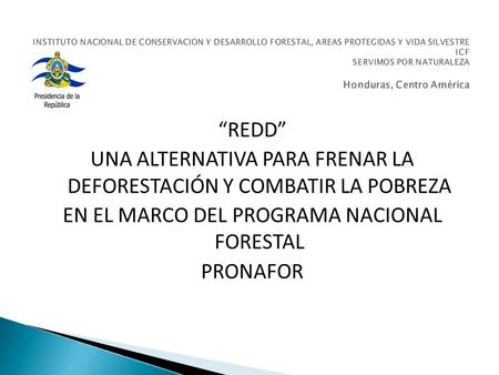 “REDD” UNA ALTERNATIVA PARA FRENAR LA DEFORESTACIÓN Y COMBATIR LA POBREZA EN EL MARCO DEL PROGRAMA NACIONAL FORESTAL PRONAFOR.