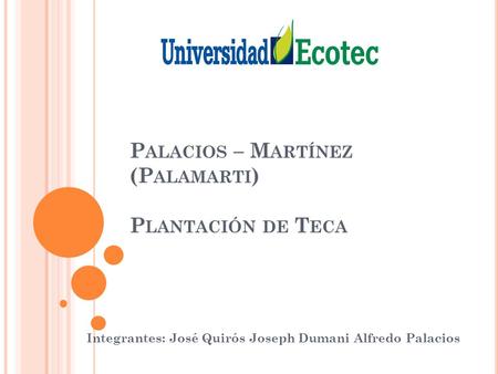 P ALACIOS – M ARTÍNEZ (P ALAMARTI ) P LANTACIÓN DE T ECA Integrantes: José Quirós Joseph Dumani Alfredo Palacios.
