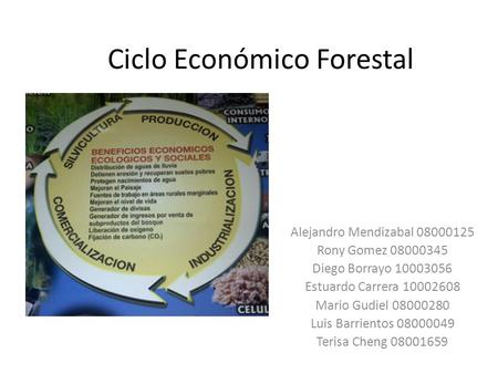Ciclo Económico Forestal