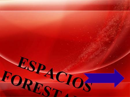 ESPACIOS FORESTALES.