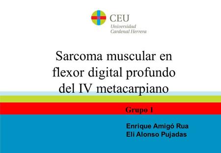 Sarcoma muscular en flexor digital profundo del IV metacarpiano