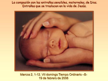 Marcos 2, 1-12. VII domingo Tiempo Ordinario –B- 19 de febrero de 2006 La compasión son las entrañas sensibles, maternales, de Dios. Entrañas que se traslucen.