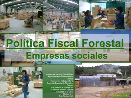 Política Fiscal Forestal