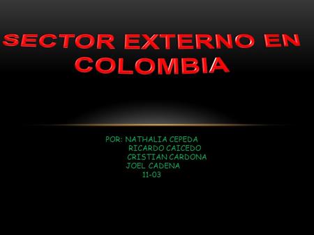 SECTOR EXTERNO EN COLOMBIA