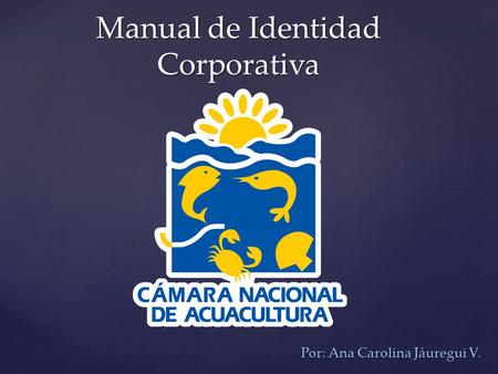 Manual de Identidad Corporativa Por: Ana Carolina Jáuregui V.