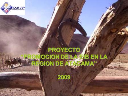 PROYECTO “PROMOCION DE LA EIB EN LA REGION DE ATACAMA” 2009.