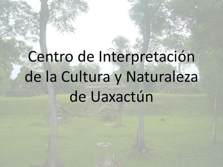 Centro de Interpretación de la Cultura y Naturaleza de Uaxactún.