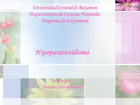 Hipoparatiroidismo Hecho por: Natalie Cintron Rivera