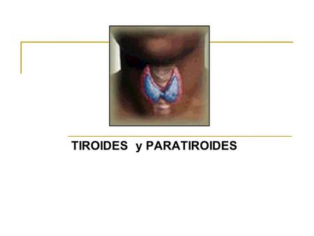 TIROIDES y PARATIROIDES