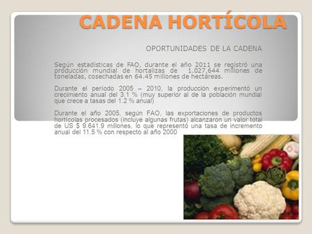 CADENA HORTÍCOLA OPORTUNIDADES DE LA CADENA Según estadísticas de FAO, durante el año 2011 se registró una producción mundial de hortalizas de 1.027,644.