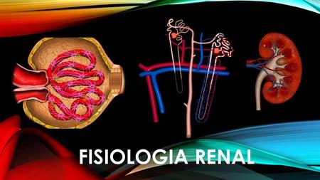 FISIOLOGIA RENAL.