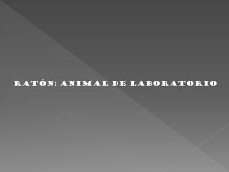RATÓN: ANIMAL DE LABORATORIO