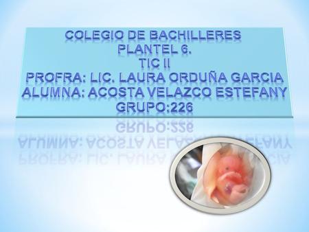 COLEGIO DE BACHILLERES PLANTEL 6. Tic ii
