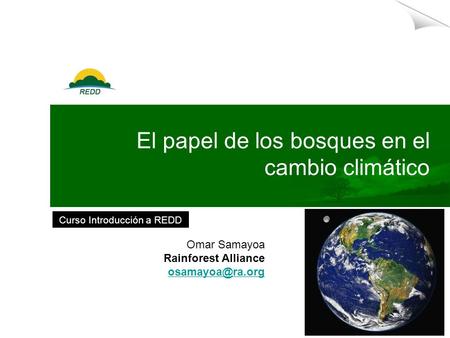 El papel de los bosques en el cambio climático