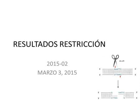 RESULTADOS RESTRICCIÓN 2015-02 MARZO 3, 2015. Std peso molecular.