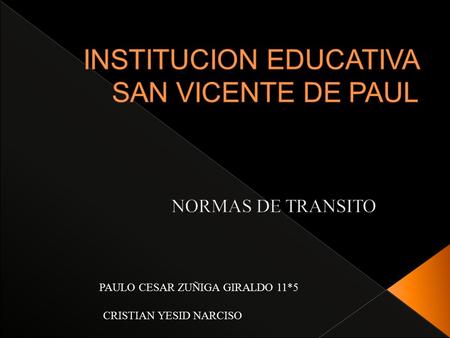 INSTITUCION EDUCATIVA SAN VICENTE DE PAUL