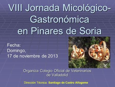 VIII Jornada Micológico- Gastronómica en Pinares de Soria Organiza Colegio Oficial de Veterinarios de Valladolid Fecha: Domingo, 17 de noviembre de 2013.