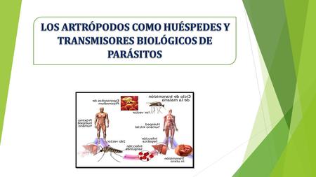 LOS ARTRÓPODOS COMO HUÉSPEDES Y TRANSMISORES BIOLÓGICOS DE PARÁSITOS