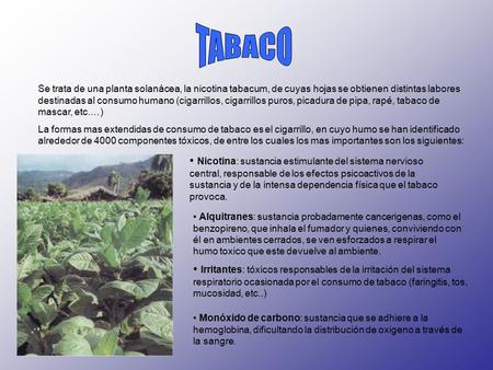 TABACO Se trata de una planta solanácea, la nicotina tabacum, de cuyas hojas se obtienen distintas labores destinadas al consumo humano (cigarrillos, cigarrillos.