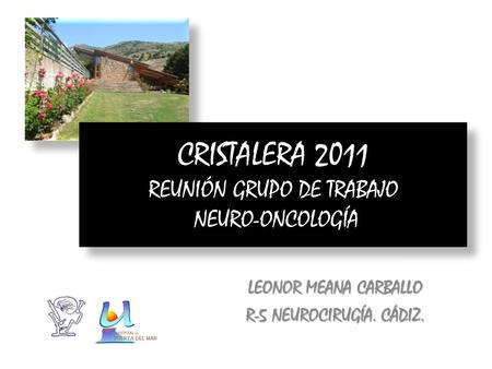 CRISTALERA 2011 REUNIÓN GRUPO DE TRABAJO NEURO-ONCOLOGÍA