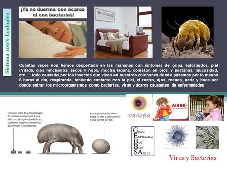 Virus y Bacterias Sistema 100% Ecológico
