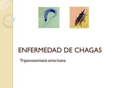Tripanosomiasis americana
