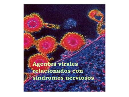 Agentes virales relacionados con sindromes nerviosos