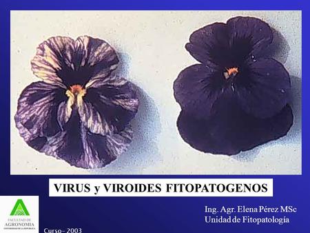 VIRUS y VIROIDES FITOPATOGENOS