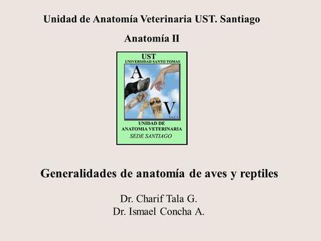 Unidad de Anatomía Veterinaria UST. Santiago Anatomía II