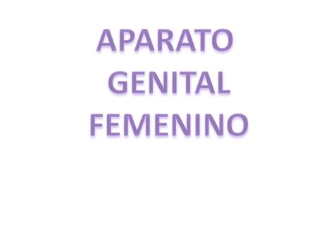 APARATO GENITAL FEMENINO.