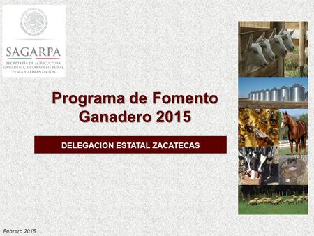 Programa de Fomento Ganadero 2015 DELEGACION ESTATAL ZACATECAS Febrero 2015.