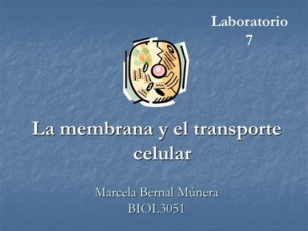 Marcela Bernal Múnera BIOL3051