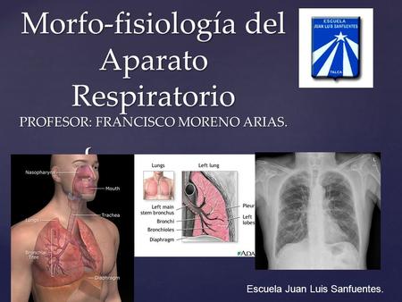 Morfo-fisiología del Aparato Respiratorio PROFESOR: FRANCISCO MORENO ARIAS. Escuela Juan Luis Sanfuentes.